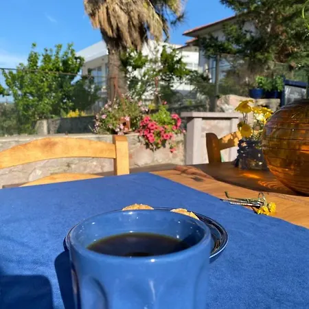 Lacivert Hotel Ayvalik