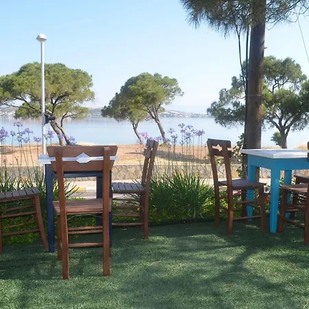 Lacivert Ayvalik