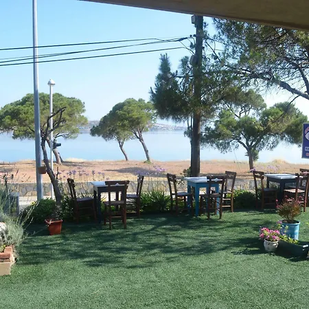 Lacivert 3* Ayvalik